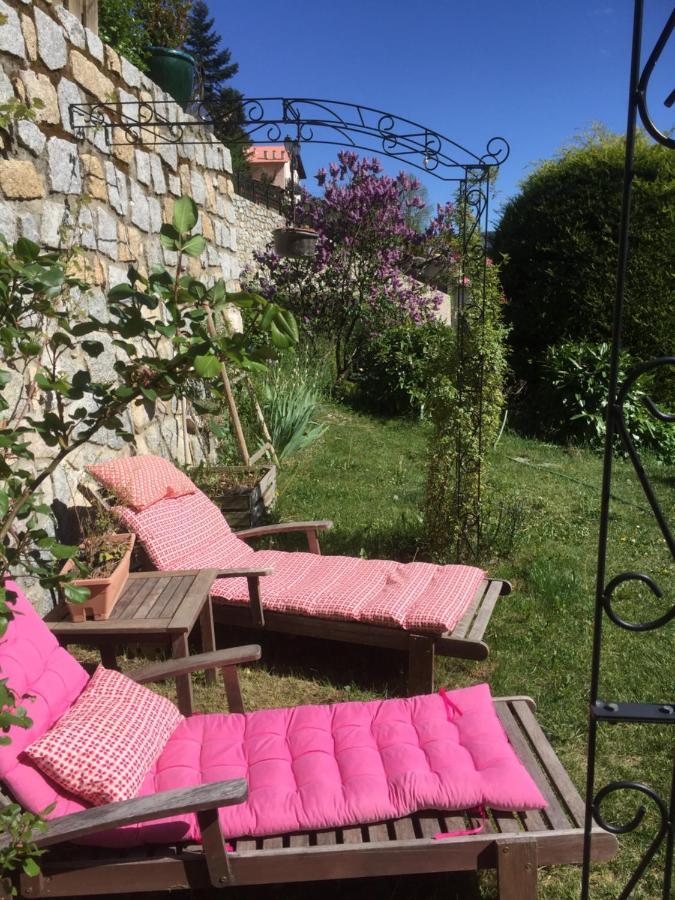Rez De Jardin De Chalet Bois , Calme Et Verdure ! Saint-Martin-Vésubie Eksteriør billede